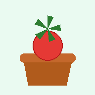 sprout-1va.pages.dev favicon